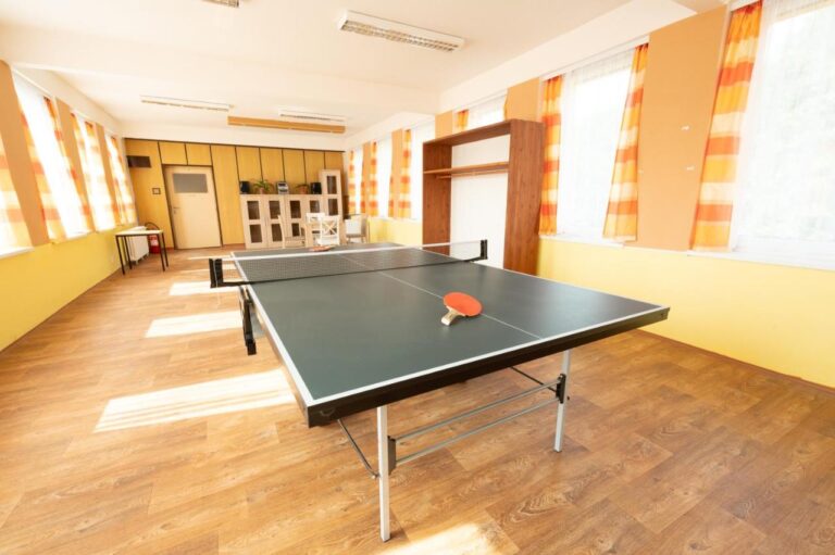 pingpong mezibori
